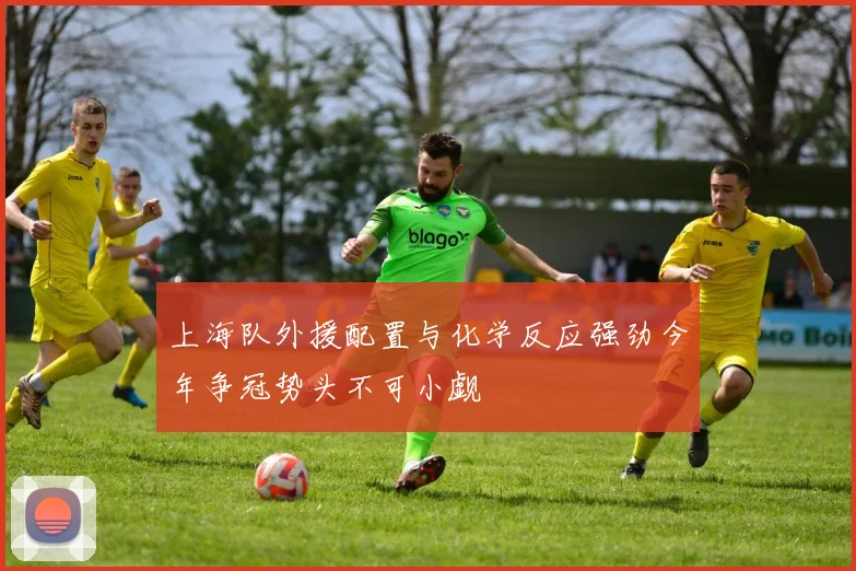 上海队外援配置与化学反应强劲今年争冠势头不可小觑