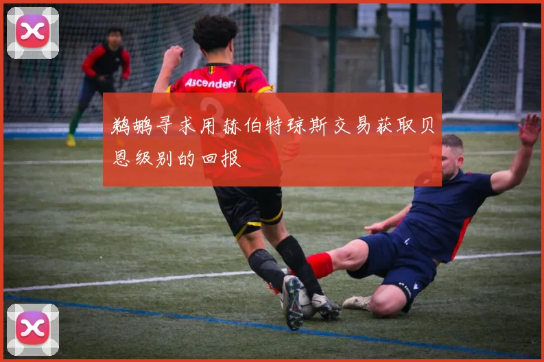 鹈鹕寻求用赫伯特琼斯交易获取贝恩级别的回报