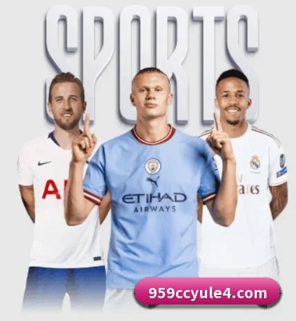 959cc娱乐 APP
